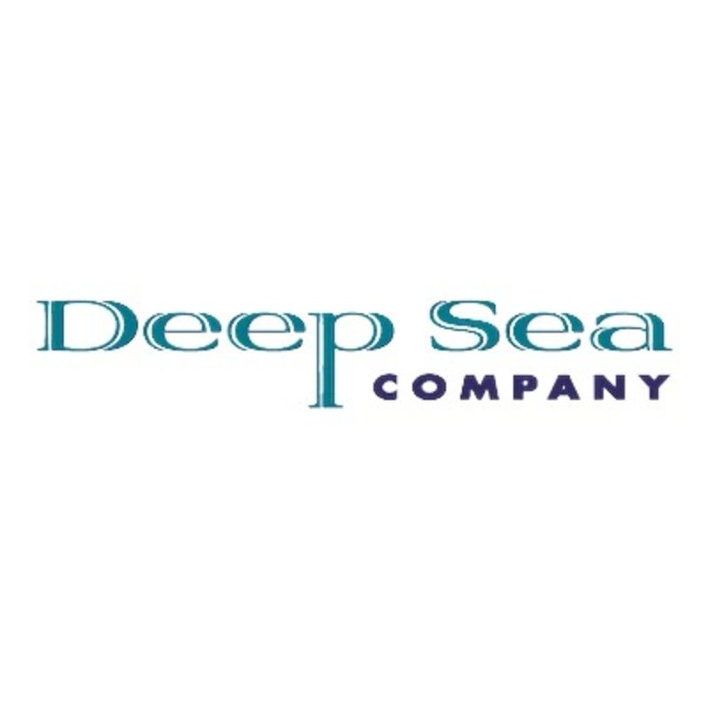 Deep Sea Company Ltd